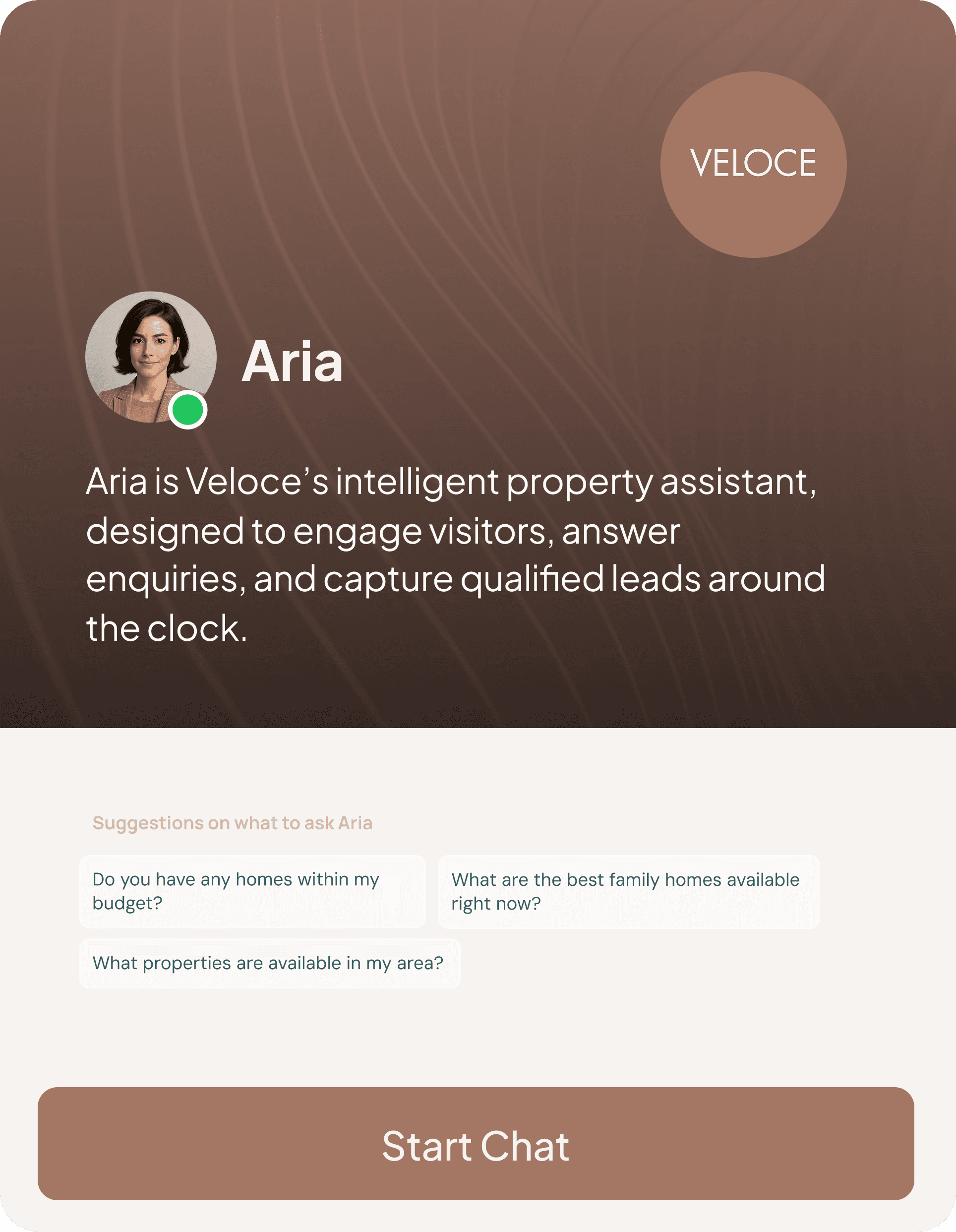 Aria Chatbot Interface